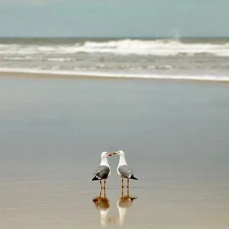 Le Pouget , Studio, Rez De Chaussee, Front De Wifi 公寓 *