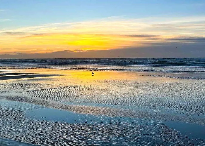 Apartamento Le Pouget , Studio, Rez De Chaussée, Front De Wifi Le Touquet