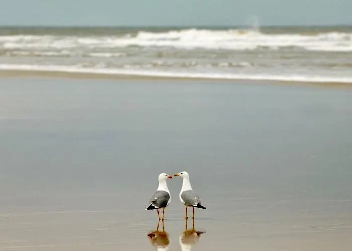 Le Pouget , Studio, Rez De Chaussée, Front De Wifi Apartamento *